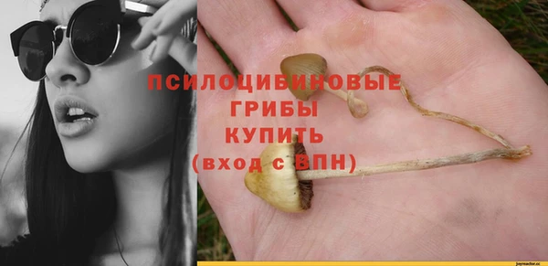 хмурый Алзамай