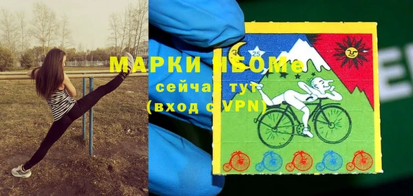 хмурый Алзамай